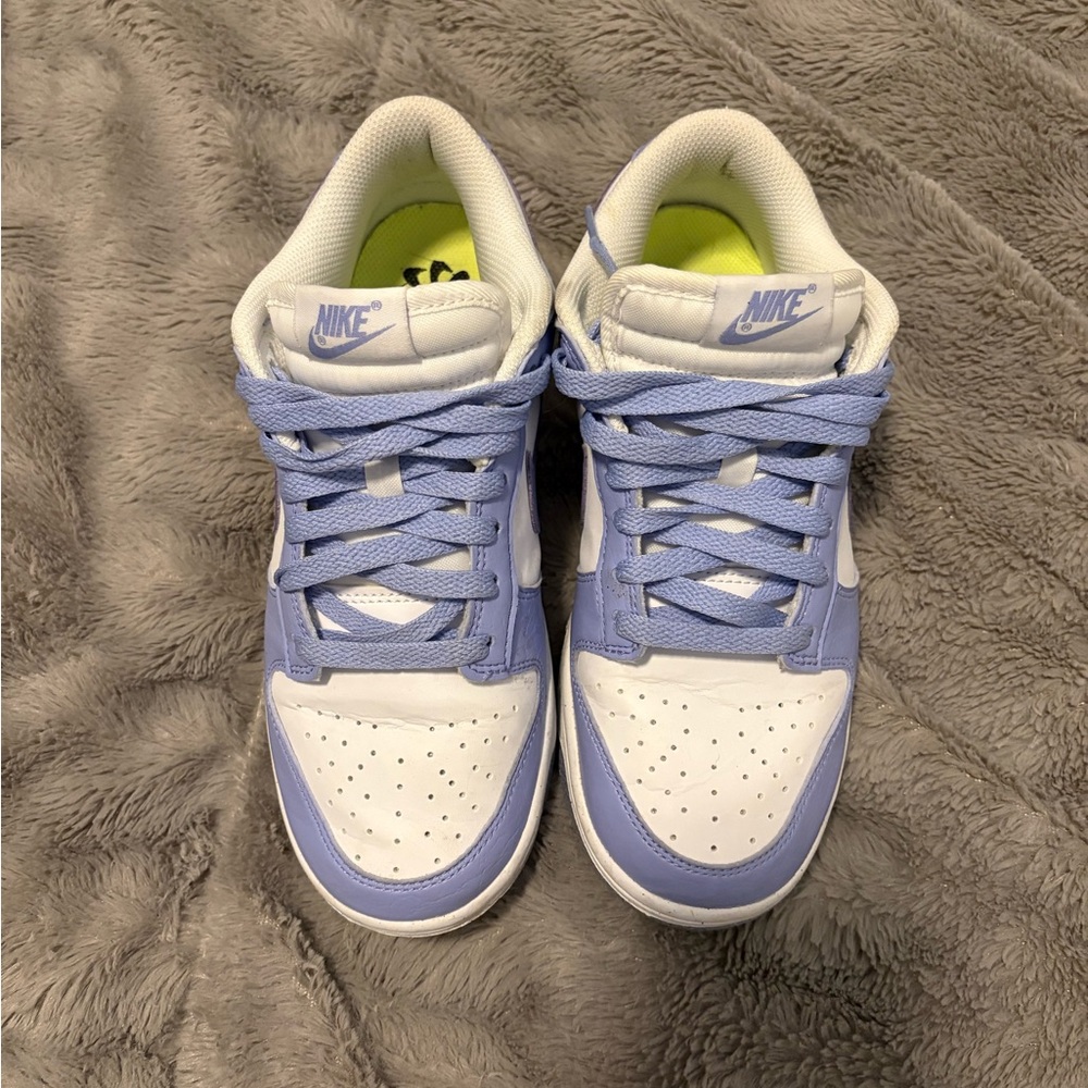 Women’s next to nature dunks